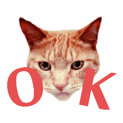 asuka_20210302222019