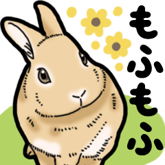 Fluffy wild rabbit 3