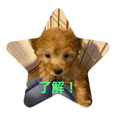 CHIE_20210302211652