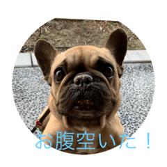 Junko_20210302221156