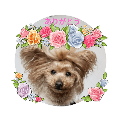 ayumi_20210302214505