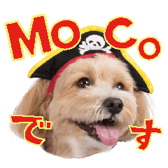 Moco chan Sticker