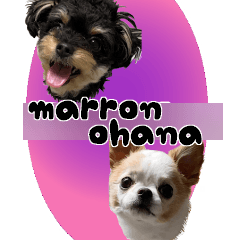 #011 marron and ohana *asachi