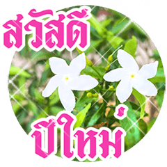 อวยพรปีใหม่ไทย กับสวนดอกไม้สวย: ดุ๊กดิ๊ก