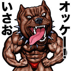 Isao dedicated Muscle macho animal