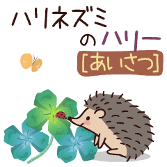 動く ハリネズミのハリー あいさつ Line スタンプ Line Store 動く ハリネズミのハリー あいさつ Line スタンプ Line Store