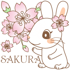 もりのなか * Sakura Spring Rabbico