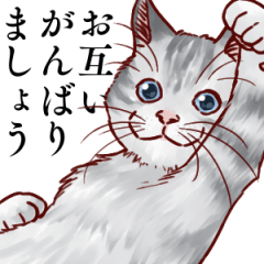 Realistic life of a realistic cat 3