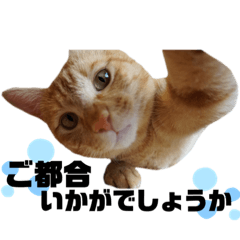 MIZUKI_20210303174745