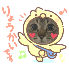Chie_20210303205640