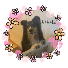 Piano_20210303213354