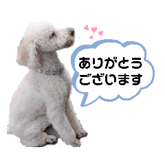 akiko_20210303221425