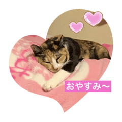 YAMADA_20210303222108