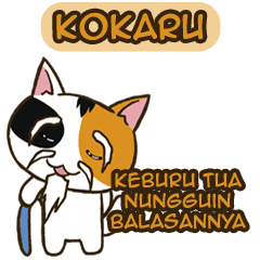 Kokaru the Cute Cat with Three Colours 2