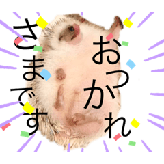 Yuka_20210304001127