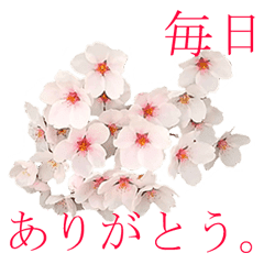 ホワイトデー Lineクリエイターズスタンプまとめ Stamplist ホワイトデー Lineクリエイターズスタンプまとめ Stamplist