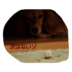 tommy_20210303205257