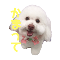 mimi_20210303212508