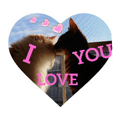 サーヤニャンファミリーの猫の気持ち