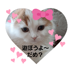 yukari_20210304090754