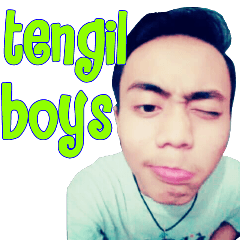 tengil boys