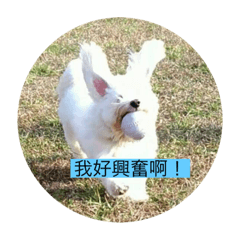 東勢在地寶