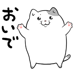 Gentle cat Pon-chan