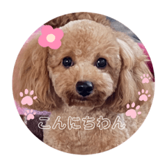 aoi_20210304143255
