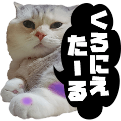 cat Sticker shinguu 2