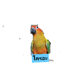 Grace_20210304095855