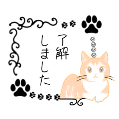 Cat honorific stickers
