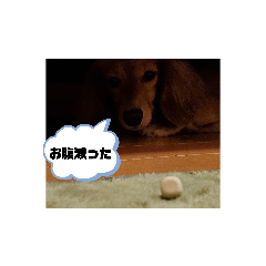 tommy_20210304161136