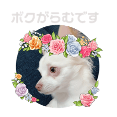 miki_20210304160943