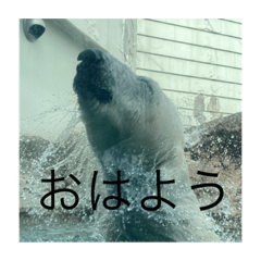 coni_20210304173754