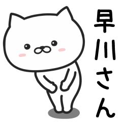 CAT FOR HAYAKAWA