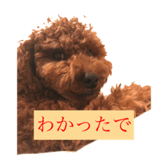 Yuka_20210304205816