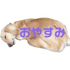 Rina_20210305110618
