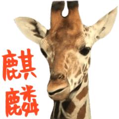 ほほえみフレンズ キリンのbigスタンプ Line スタンプ Line Store ほほえみフレンズ キリンのbigスタンプ Line スタンプ Line Store