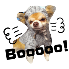 Cocooooo0208