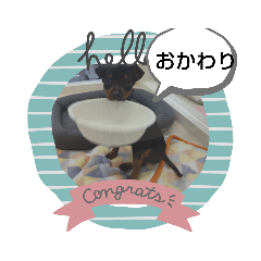 kanae_20210305121353