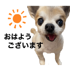 KAITO_20210305120039