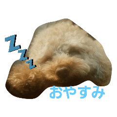 kayo_20210305043753