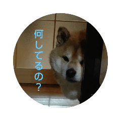 YUKA_20210305091455