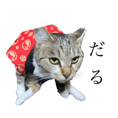 nekocawaii_20210305125224