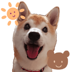 shibainu UNI daily sticker