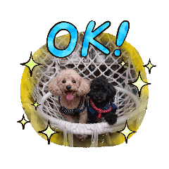 ARISA_20210305041459