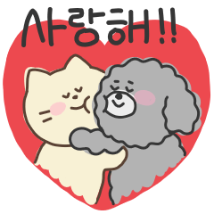 Korean Dogs and Cats