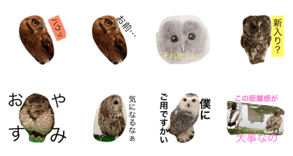 Birds Birds!!!