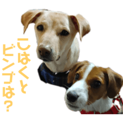 arisa_20210305192638