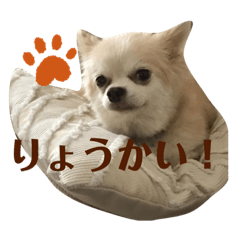 erin_20210305222908